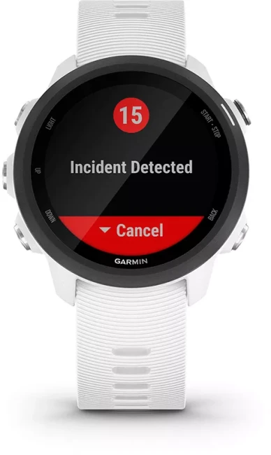 Умные часы Garmin Forerunner 245 Music White - фото6