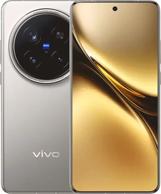 Смартфон Vivo X200 Pro 12GB/256GB китайская версия (титан) - фото
