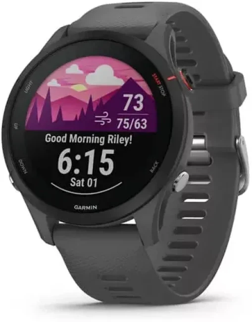 Умные часы Garmin Forerunner 255 46 мм (сланцево-серый/черный) - фото