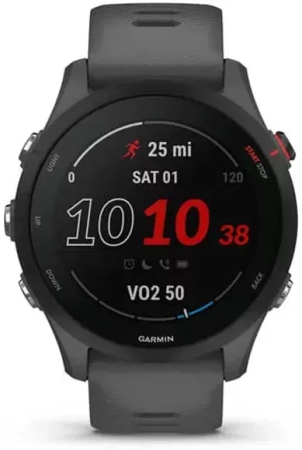 Умные часы Garmin Forerunner 255 46 мм (сланцево-серый/черный) - фото3