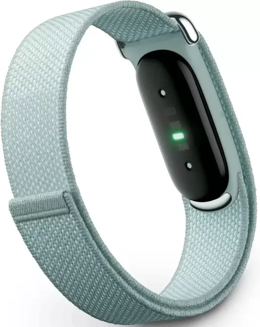 Фитнес-браслет Google Fitbit Air (туманный) - фото3
